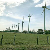 Caso inédito en la Corte de París: Comuneros zapotecos llevan a juicio a Electricité de France