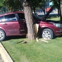 Insólito accidente en Plaza Huincul: un vehículo impactó contra un árbol