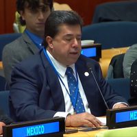 Pedro Haces acude a la ONU para participar en asamblea interparlamentaria
