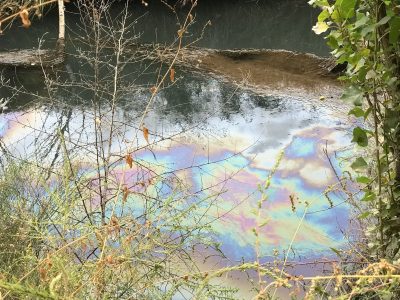 Clausuraron una empresa en Centenario por contaminación y diversos incumplimientos