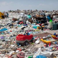 Detectan contaminación plástica en órganos y tejidos humanos