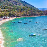 Turista extranjera muere tras choque de lancha con ballena en Puerto Vallarta