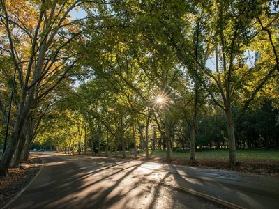 El domingo llega con sol y un ascenso de la temperatura