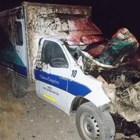 Una ambulancia chocó contra un caballo suelto en la Ruta 40