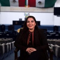 Morena suspende derechos partidarios y cargos de diputada ligada a caso de abuso sexual infantil