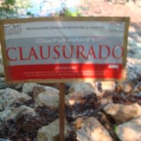 Clausura Profepa proyecto por remoción de mangle en Quintana Roo