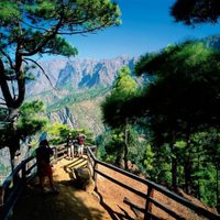 Isla La Palma, un destino para viajeros en busca de naturaleza