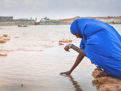 En peligro la seguridad alimentaria por el cambio climático, advierte ONU