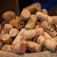 Con corchos de vino y una botella de plástico, hacé la maceta más bonita de todo tu jardín