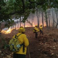 Reportan 22 incendios forestales activos en México