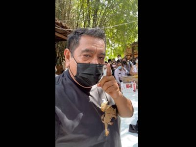 "El INE va a caer": celebra Salgado Macedonio que le concedan licencia para ausentarse del Senado