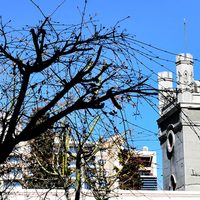 Neuquén: Habrá asueto por el Día del Trabajador del Estado