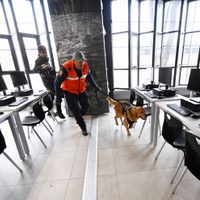 Gobierno federal dona a la UNAM dos perros entrenados para detección de riesgos