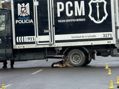 Encontraron a una mujer muerta en una casa de San Martín