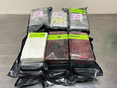 Autoridades aduaneras de EU incautan 850 mil dólares en cocaína en camioneta proveniente de México
