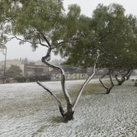 Clima en Neuquén: seguirá el frio, la lluvia y la nieve durante el domingo