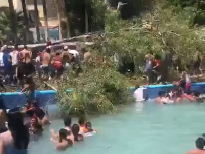 Cae un árbol sobre visitantes de balneario en Silao; muere un bebé de 11 meses (Video)