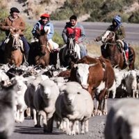 Por la emergencia climática y el regreso de la veranada, refuerzan los operativos de seguridad vial