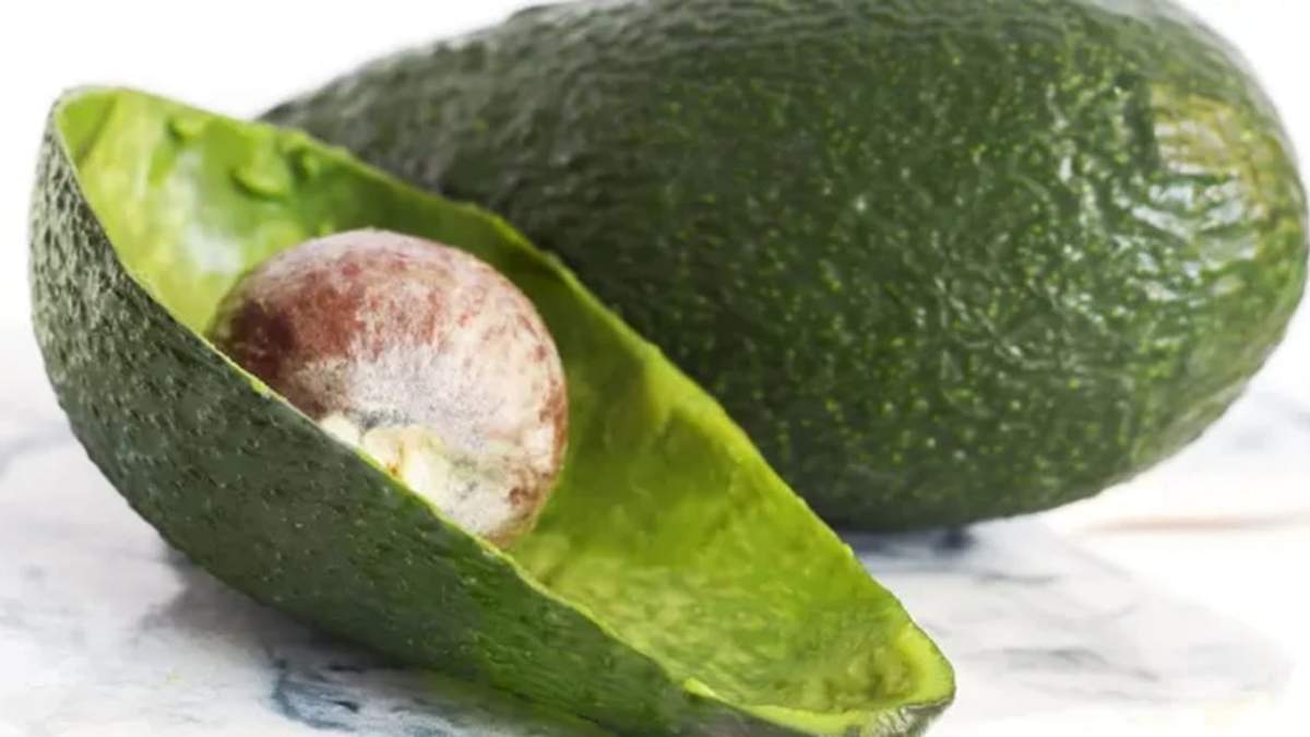 Cáscaras de palta. Fuente: (X)