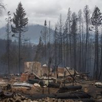 Incendios en la Comarca Andina: qué pasará con las investigaciones
