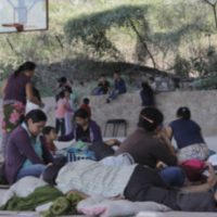 El éxodo de las comunidades azotadas por la producción de mariguana en Guerrero