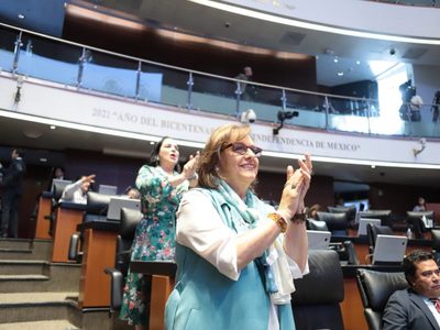 Senado aprueba reforma para erradicar la violencia vicaria