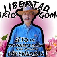 Más de 50 ONG protestaron por la detención del defensor tsotsil, Mario Gómez