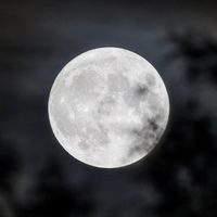El ritual de la luna llena para la belleza que aumenta la fuerza y el brillo de tu cabello
