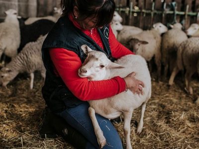La reinvención del productor rural: del campo a los pedidos online