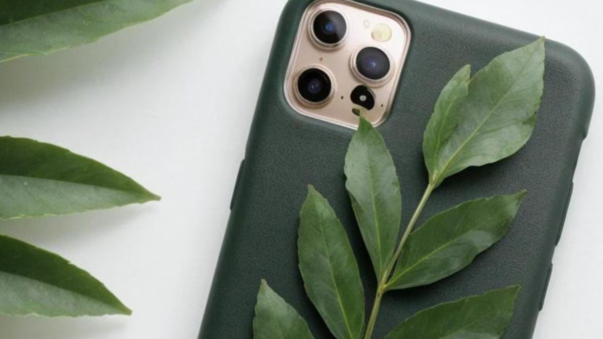 Planta. Fuente: (Instagram)