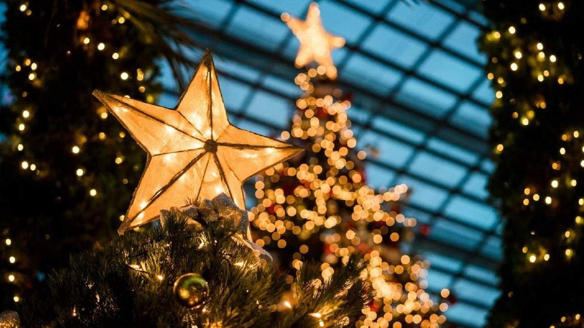 Árbol de Navidad. Fuente: (Instagram)