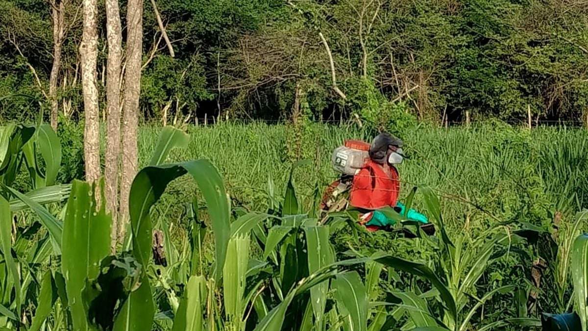 Un agricultor en México