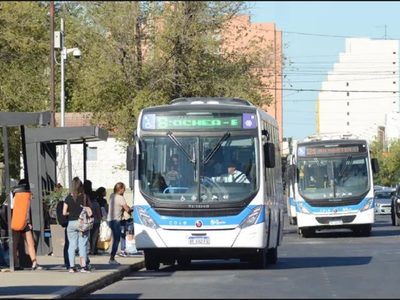 Paro nacional: qué pasará con el transporte público en Neuquén