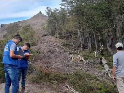 La justicia de Neuquén ordenó terminar con el desmonte y el retiro de bienes en el Cerro Chapelco