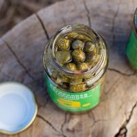 Las alcaparras más australes: una opción nutrititva que se produce en Chubut