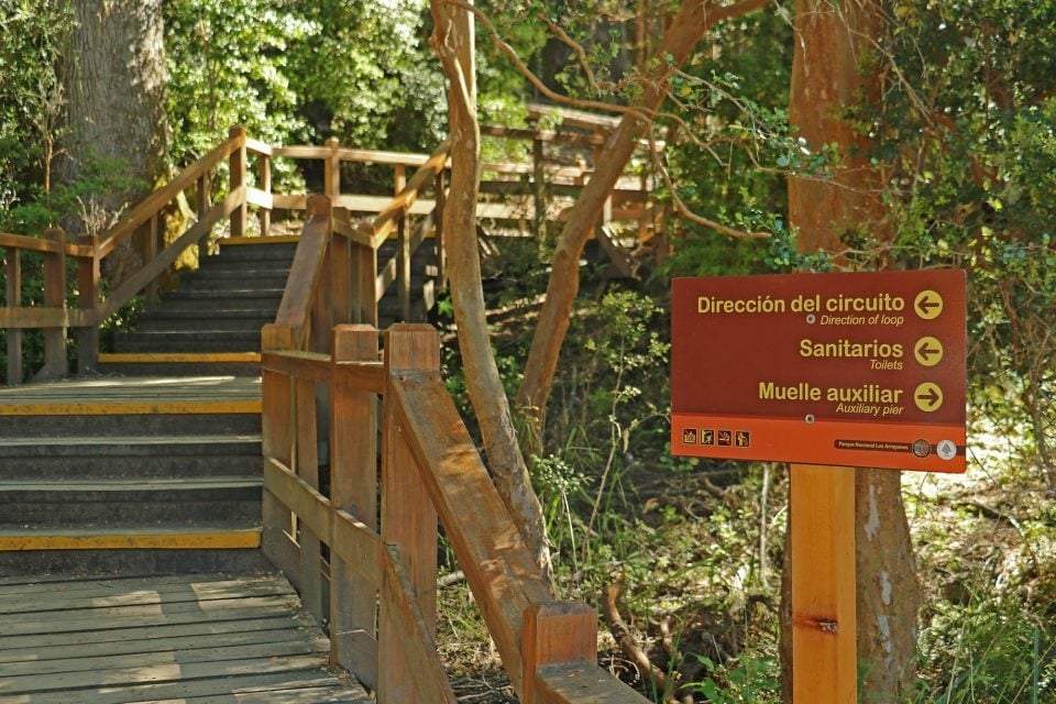 Sendero. Fuente: (Twitter)