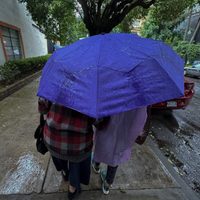 Lloverá intensamente este miércoles en 10 entidades; llega nueva onda tropical