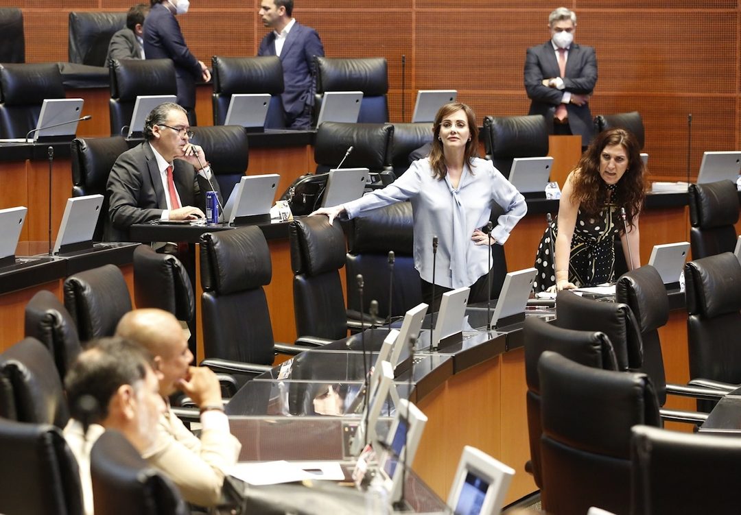 pan senado