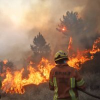 Fuego en Calamuchita: detuvieron a una persona acusada de generar el voraz incendio