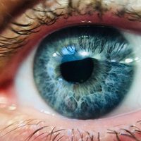 Estudio apunta que los ojos podrían ser importantes para diagnosticar autismo y TDAH