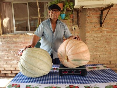 Un evento único en Neuquén: se inició el concurso del zapallo más grande