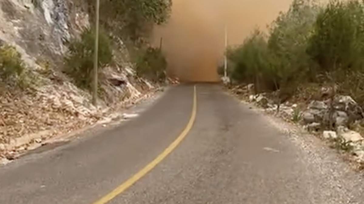 En Taxco El Viejo el fuego saltó a la carretera, lo que generó pánico entre automovilistas