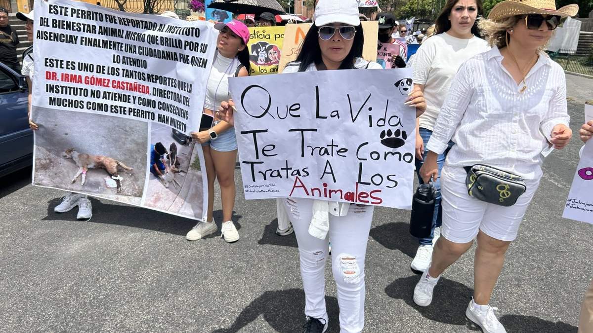 Protestas