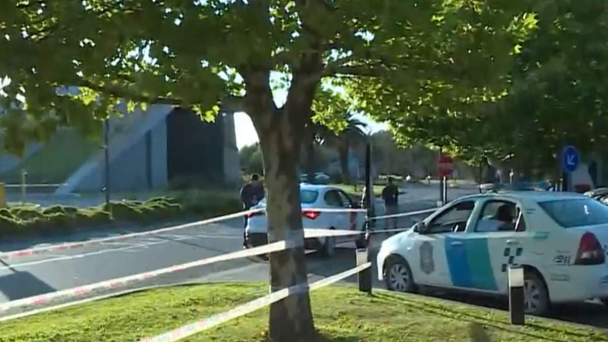 Impresionante operativo y despliegue policial para... atrapar carpinchos