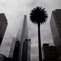 El Paseo de la Reforma, al límite