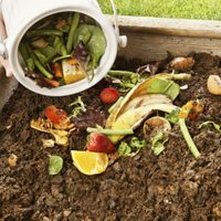 Reviví tus plantas y protegelas del invierno con este simple abono casero de triple acción