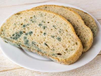 Esto le pasa a tu cuerpo si comés un alimento con moho, aunque que le quites la parte infectada