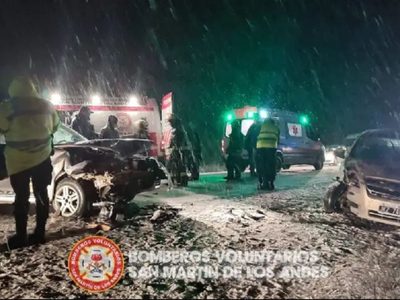 Otra vez un animal suelto en la ruta causó un accidente en San Martín de los Andes