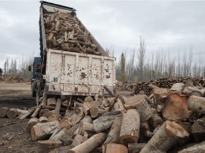El gobierno de Neuquén adelantó la entrega de leña en barrios de la ciudad capital