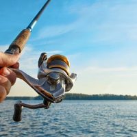 Un plan imperdible se prepara en Choele Choel: pesca, naturaleza y una cita especial